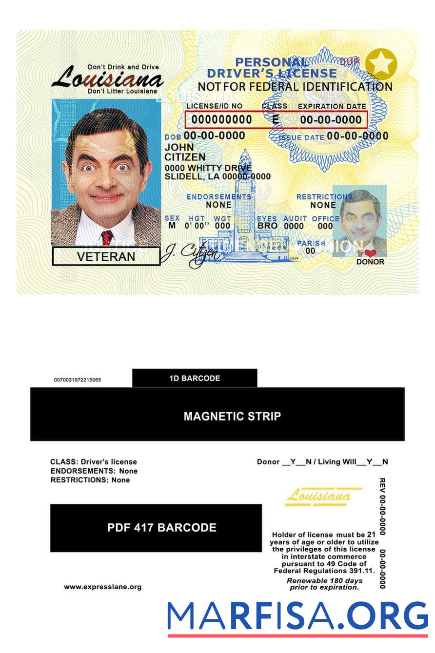 Printable USA Louisiana driving license template